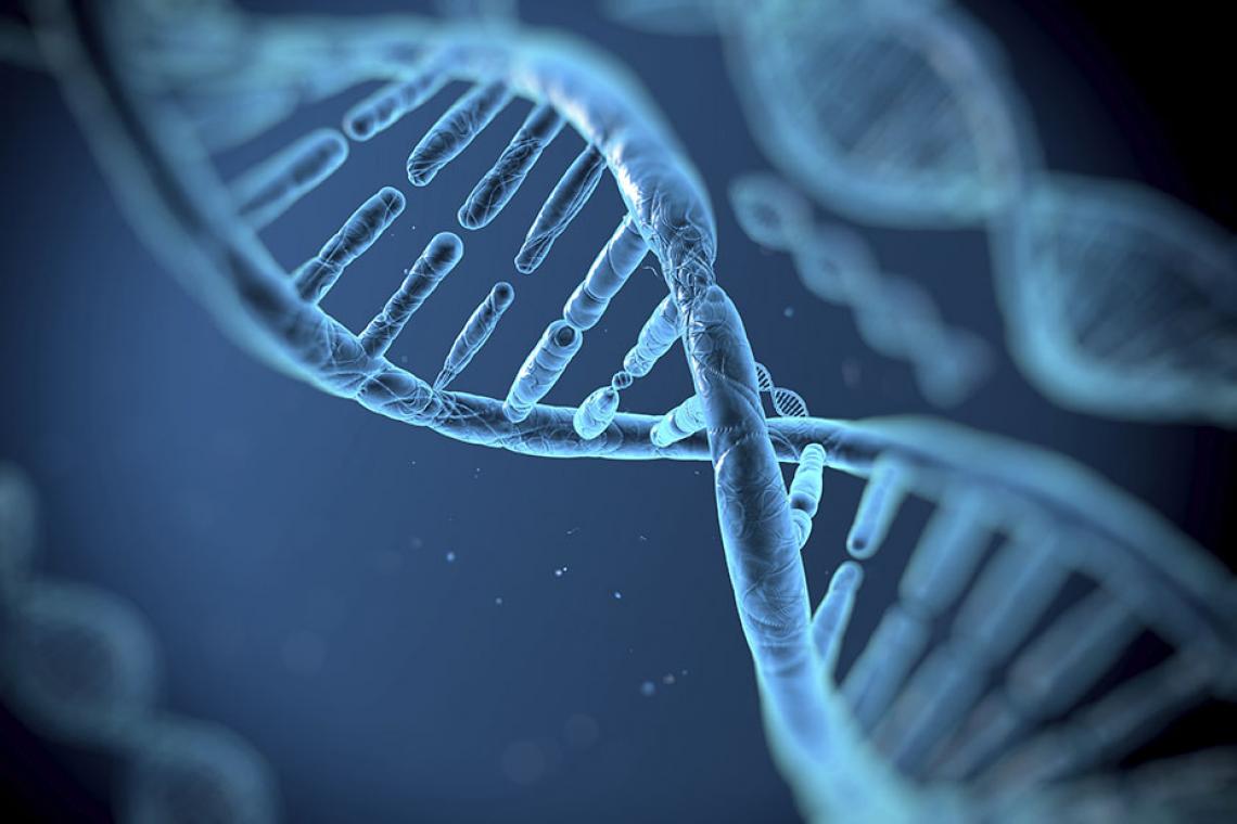 The University of Arizona Health Sciences will participate in the national Precision Medicine Initiative. The University of Arizona Health Sciences will participate in the national Precision Medicine Initiative.